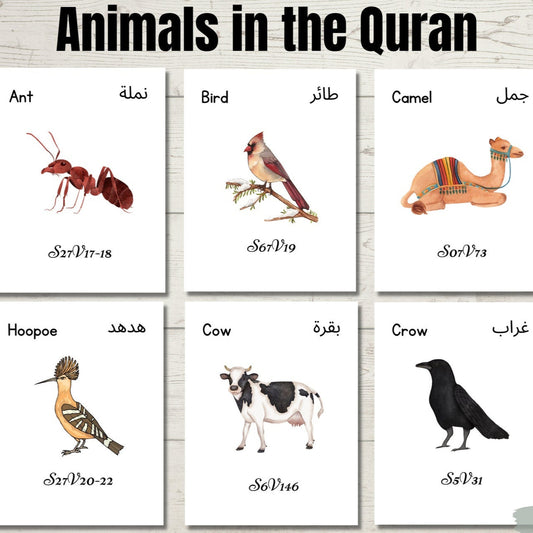 Animals in Quran